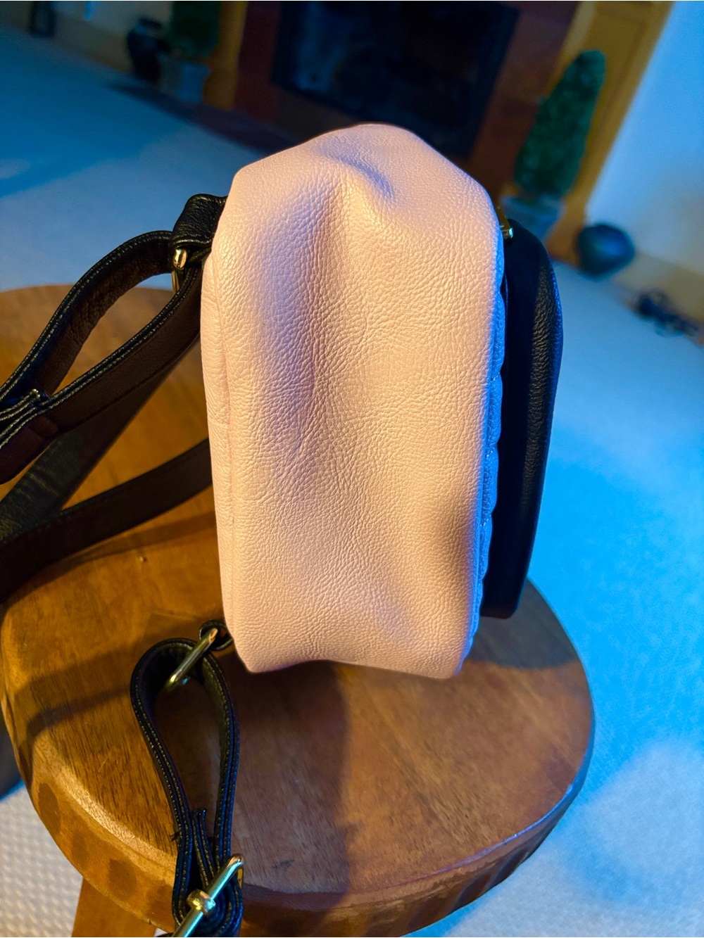 Betsey Johnson Classic Cat Mini Backpack in Blush Pink, Black & Gold - NWOT - Picture 13 of 16